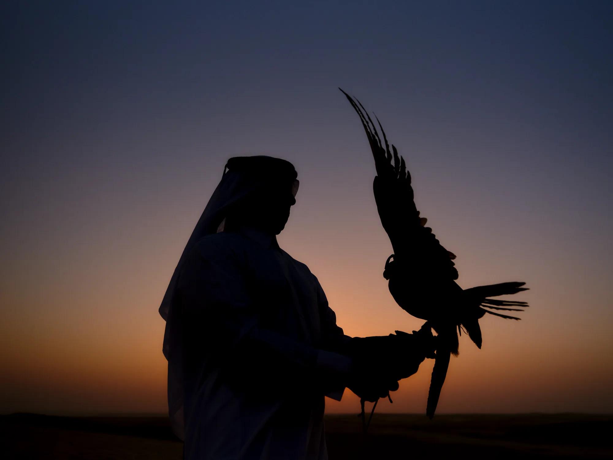 The Ancient Art of Falconry